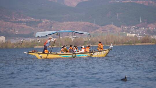 西昌邛海游客坐木船看海鸥视频素材模板下载