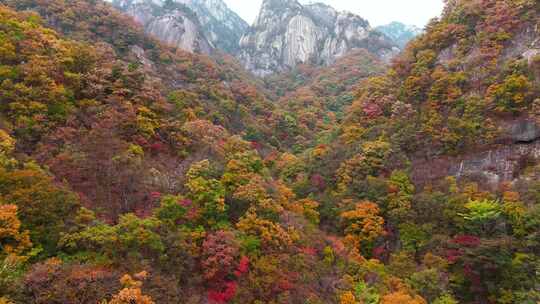 南阳老界岭秋景风光