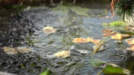 慢镜头雨水打在水面上