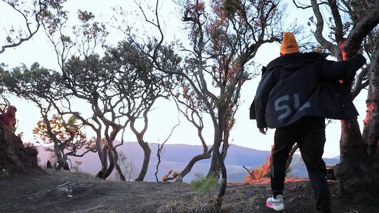 印尼布罗莫火山