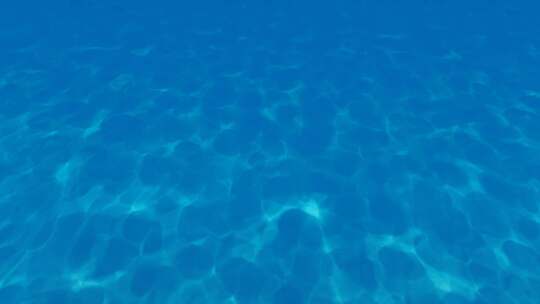 清澈见底的大海水底视频素材模板下载