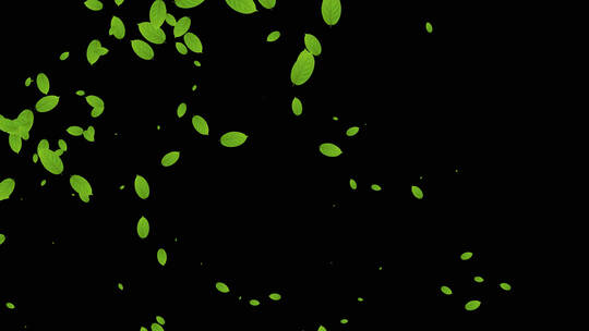 绿叶粒子飞舞动画