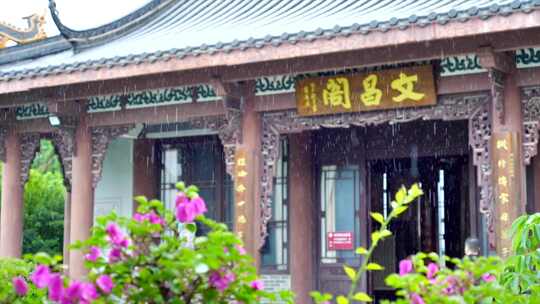 惠州西湖丰渚园雨 2视频素材模板下载