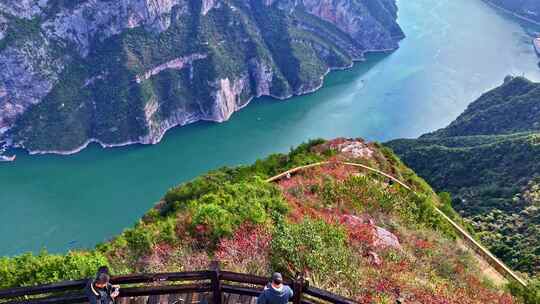 三峡红叶