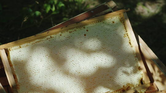 天然蜜蜂箱
