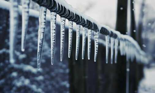 冬天冬季 结冰冰柱雪柱树挂