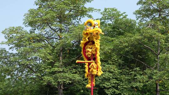 佛山黄飞鸿舞狮表演视频素材模板下载