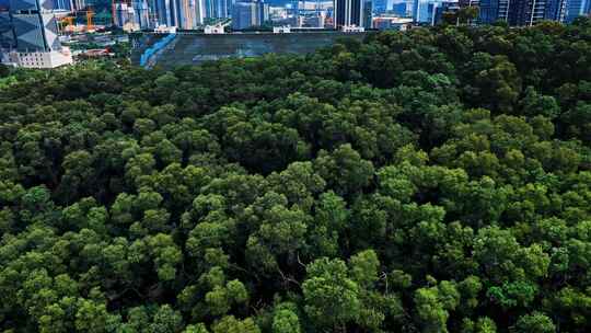 深圳光明区城市航拍