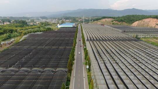 航拍现代农业大棚种植基地