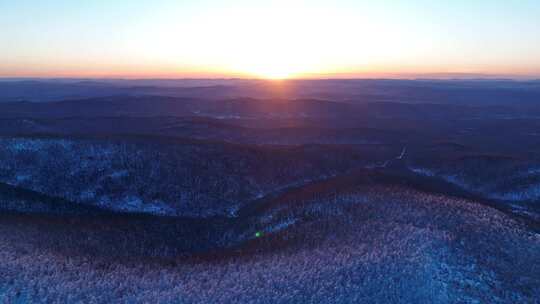 大兴安岭冬季黎明雪色山林