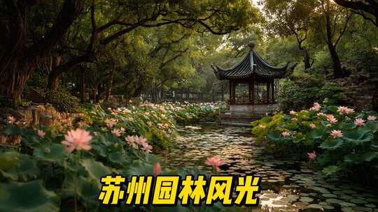 苏州园林江南水乡唯美素材