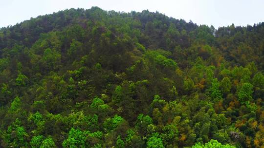 浙江绍兴斗岩风景区