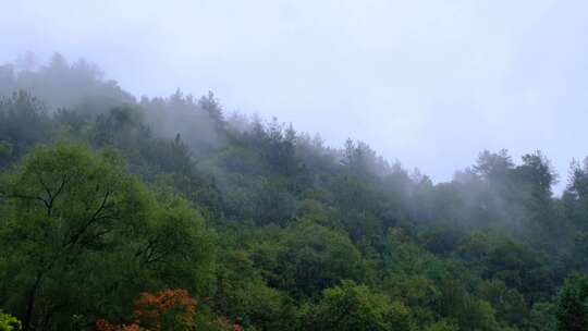 初秋雨中山脉云雾缭绕的绝美自然风光