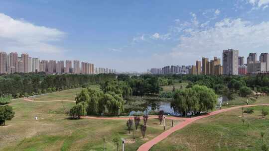 陕西宝鸡城市绿化植物航拍