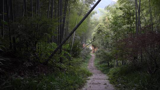 杭州飞来峰中印禅院