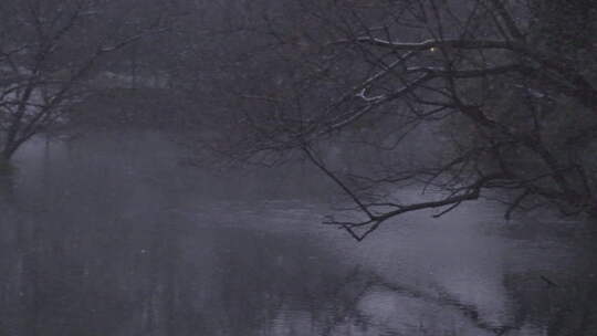 雨雪天里的浴鹄湾