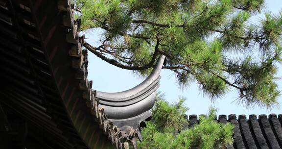 唯美生态园林古建筑局部特写