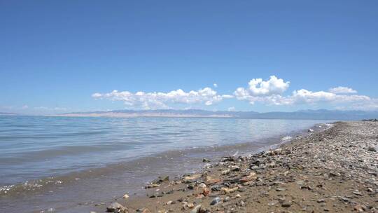 青海湖 湖边 湟鱼 旅行