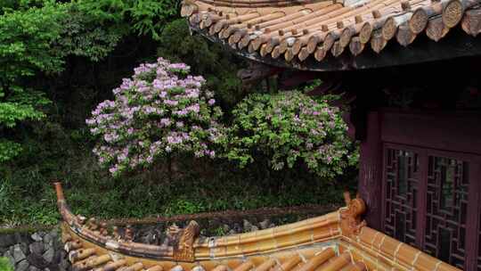 天台华顶 华顶寺