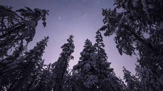 4k森林雪景极光夕阳晚霞雪松延时视频素材模板下载