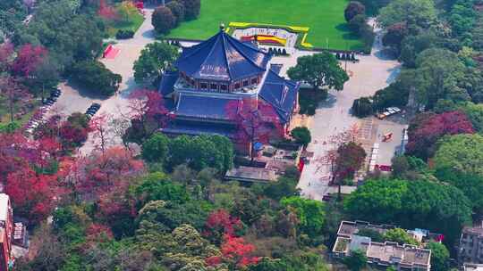 越秀公园鸟瞰中山纪念堂木棉花盛开景观