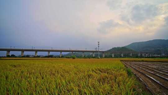 田野间的高铁线路航拍风光