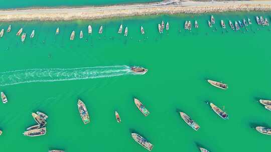 航拍海洋港湾渔船成排城市渔业码头船舶休渔