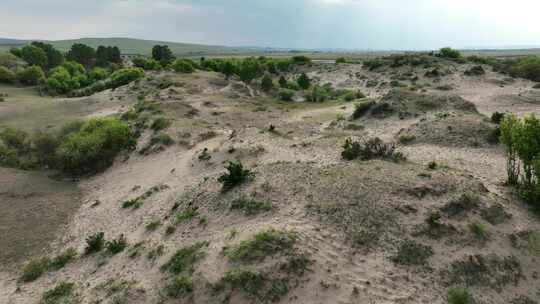 草原沙化荒漠治理生态恢复