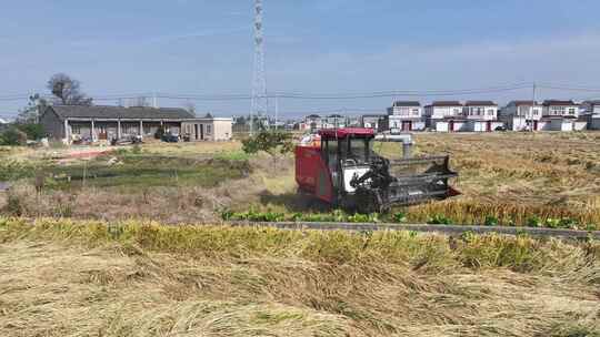 航拍农村田野收割小麦收割机运输