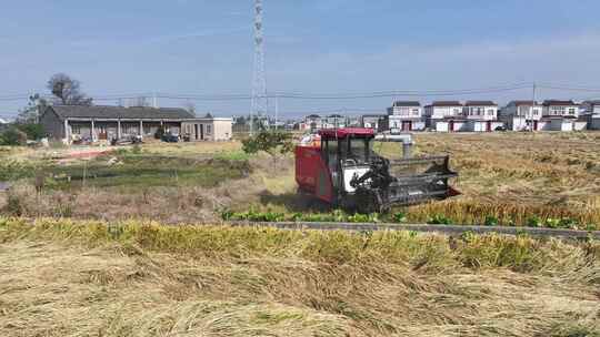 航拍农村田野收割小麦收割机运输视频素材模板下载