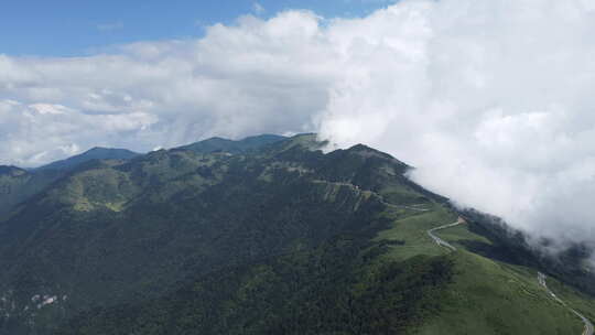 神农架神农顶风景区航拍原始素材