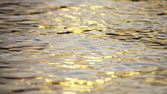 金色水面湖面波光粼粼江面湖水河流黄昏波光