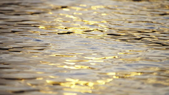 金色水面湖面波光粼粼江面湖水河流黄昏波光视频素材模板下载