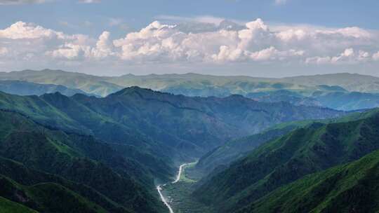 生机勃勃的山谷