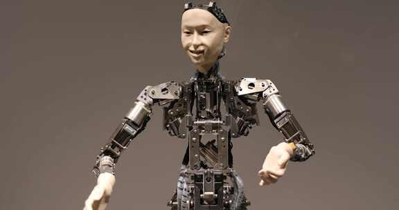 人工智能人形机器人