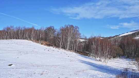 冬季内蒙古乌兰布统蓝天白云雪景航拍