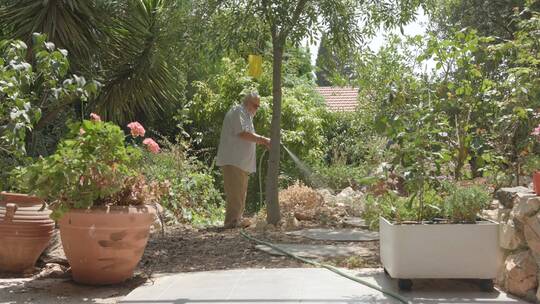 老人在花园浇水