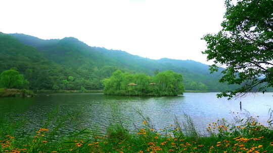 延庆 玉渡山 忘忧湖 山间溪流  4K