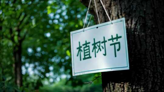植树节爱护树木环境保护地球宣传片片头