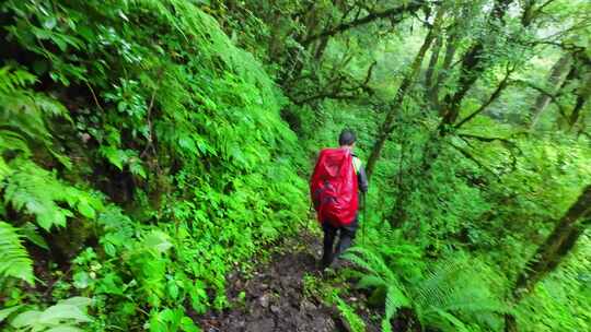 攀登四川第二高峰中山峰的登山队徒步进山