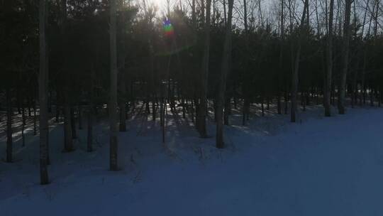 雪地森林上升日落航拍
