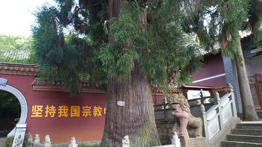 筇竹寺历史名寺古刹