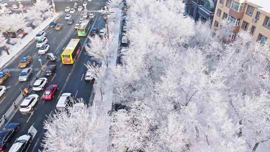 中国黑龙江哈尔滨城区雾凇雪景航拍