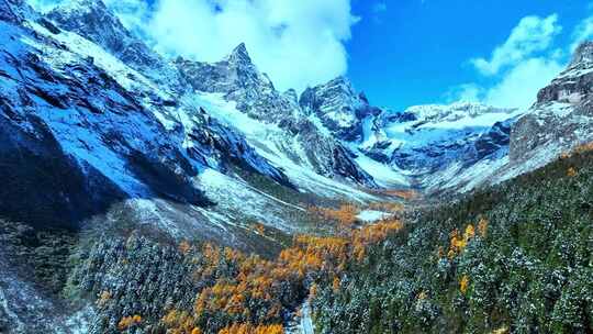 雪山下多彩树林与湖泊相映的美景