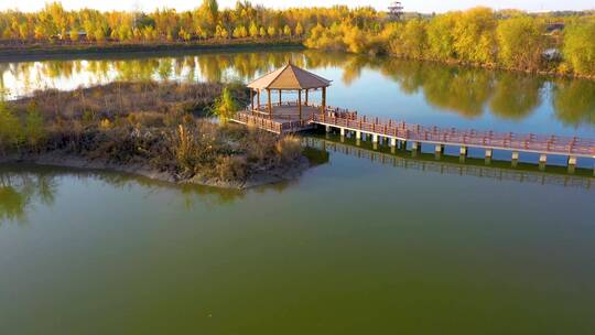 阿克苏湿地公园