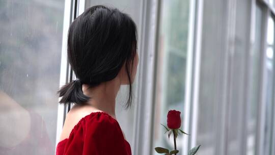 4K情节人少女倚在窗边嗅玫瑰花香情节人