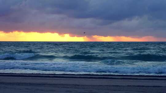 海边海浪翻滚海滩夕阳晚霞海鸥飞翔唯美海景