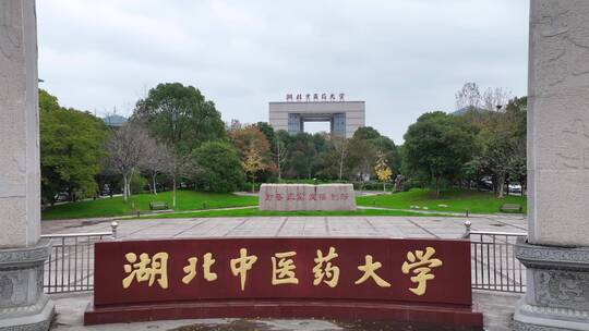 湖北中医药大学