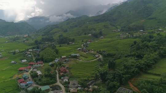 乡村振兴 美丽乡村 早晨