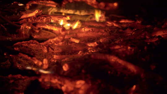 炭火天然木柴燃烧火焰余烬视频素材模板下载